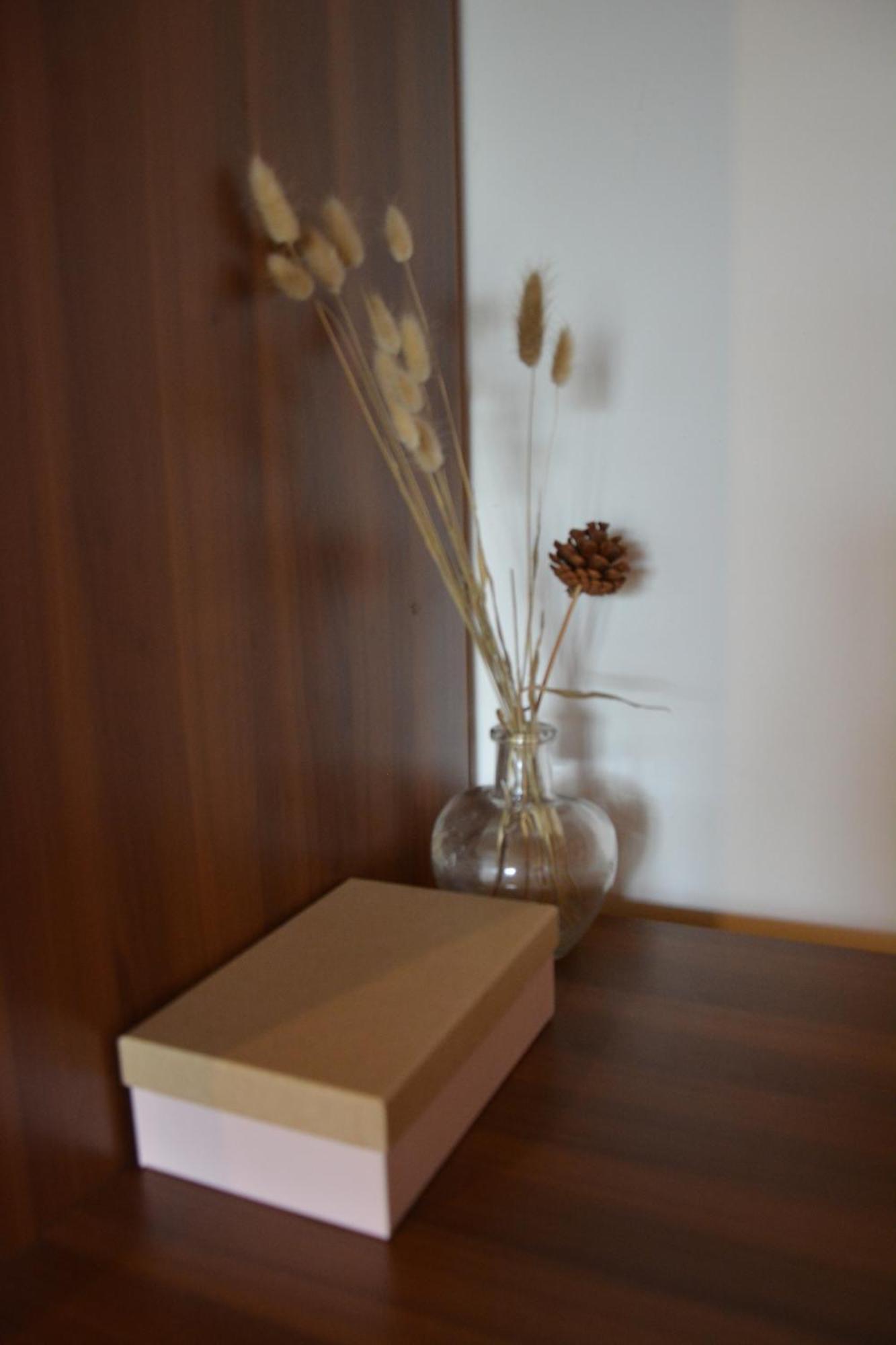 Apartmaji Kobal Zoll Extérieur photo